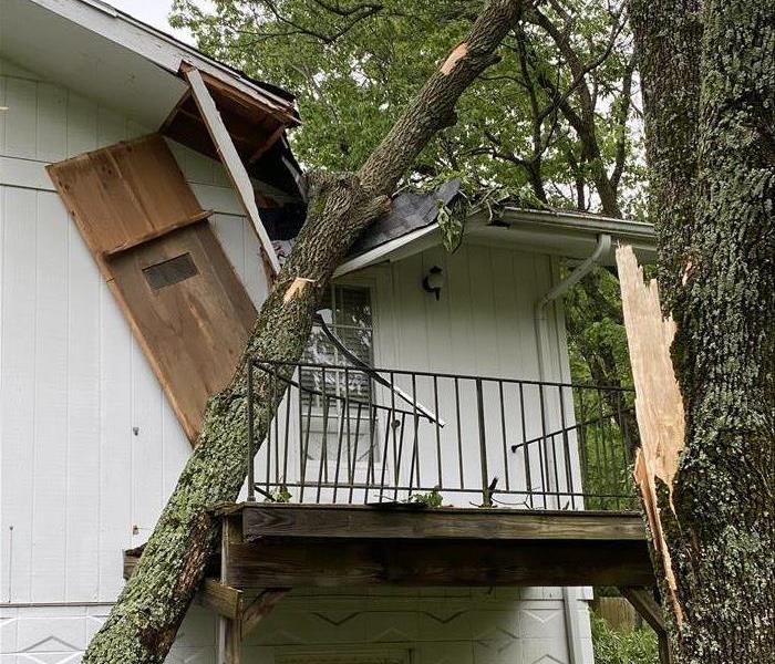 A tree has fallen onto a house after a strong storm came through the Springfield area